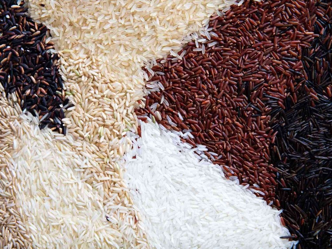 Best Thai Rice Types