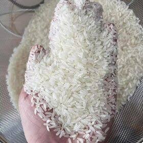 Buy Wholesale Thai Rice
