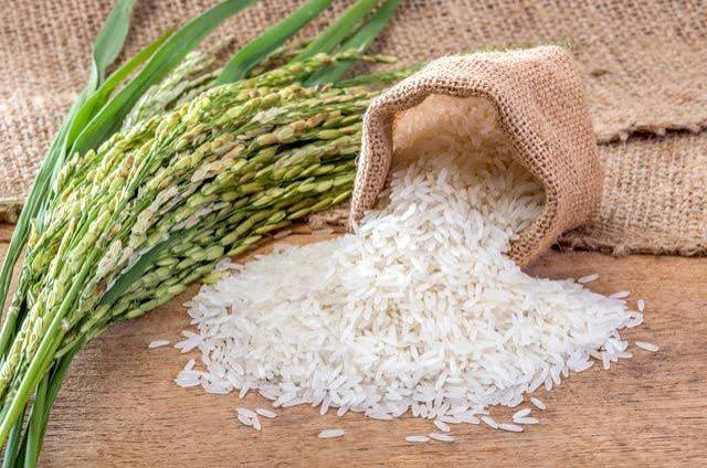 Rice Export from Thailand