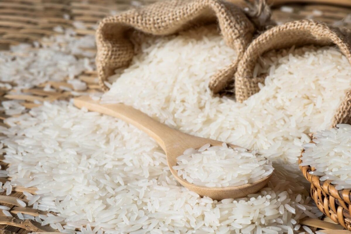 Buy wholesale Thai rice