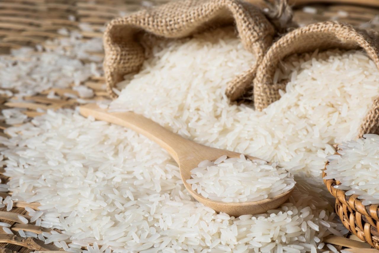 Buy wholesale Thai rice
