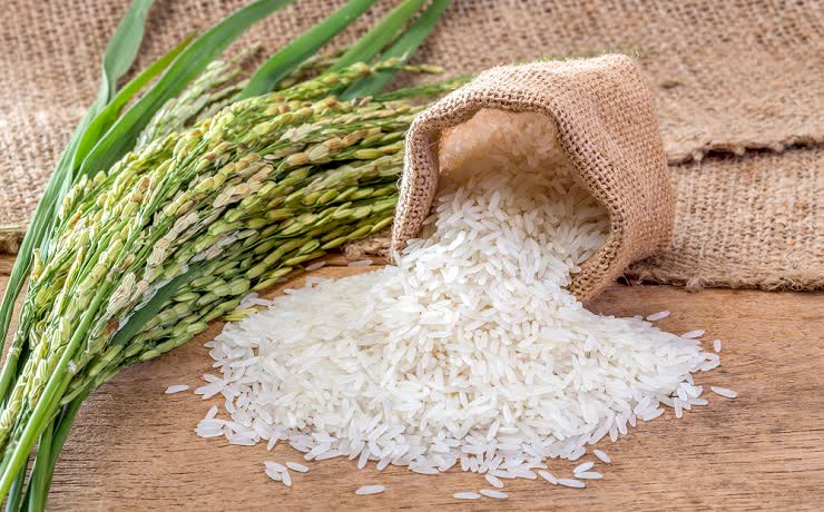 Thai Rice Exporter