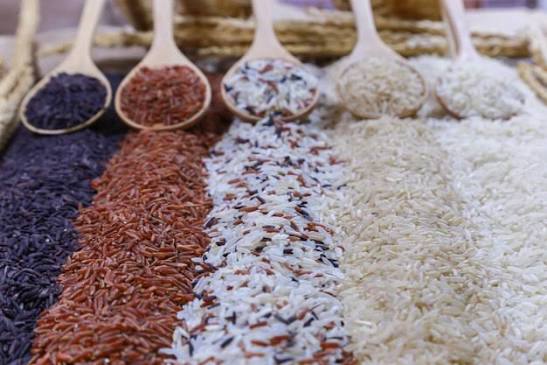 Thai Rice Varieties
