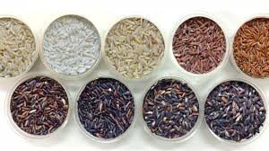 Thai Rice Varieties