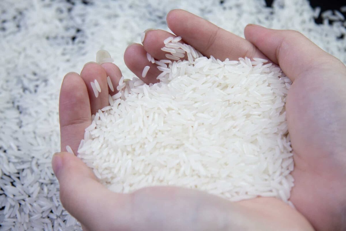 global rice supplier