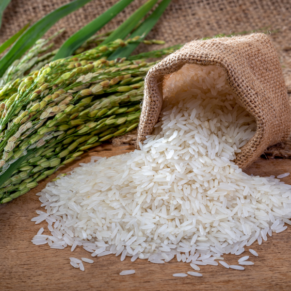 Buy Fragrant Jasmine Rice Online