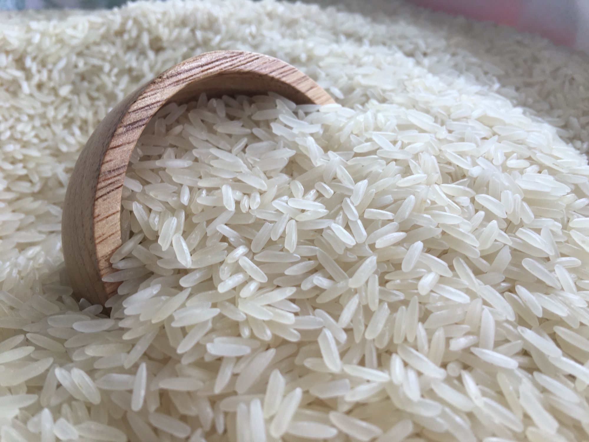 rice distributor