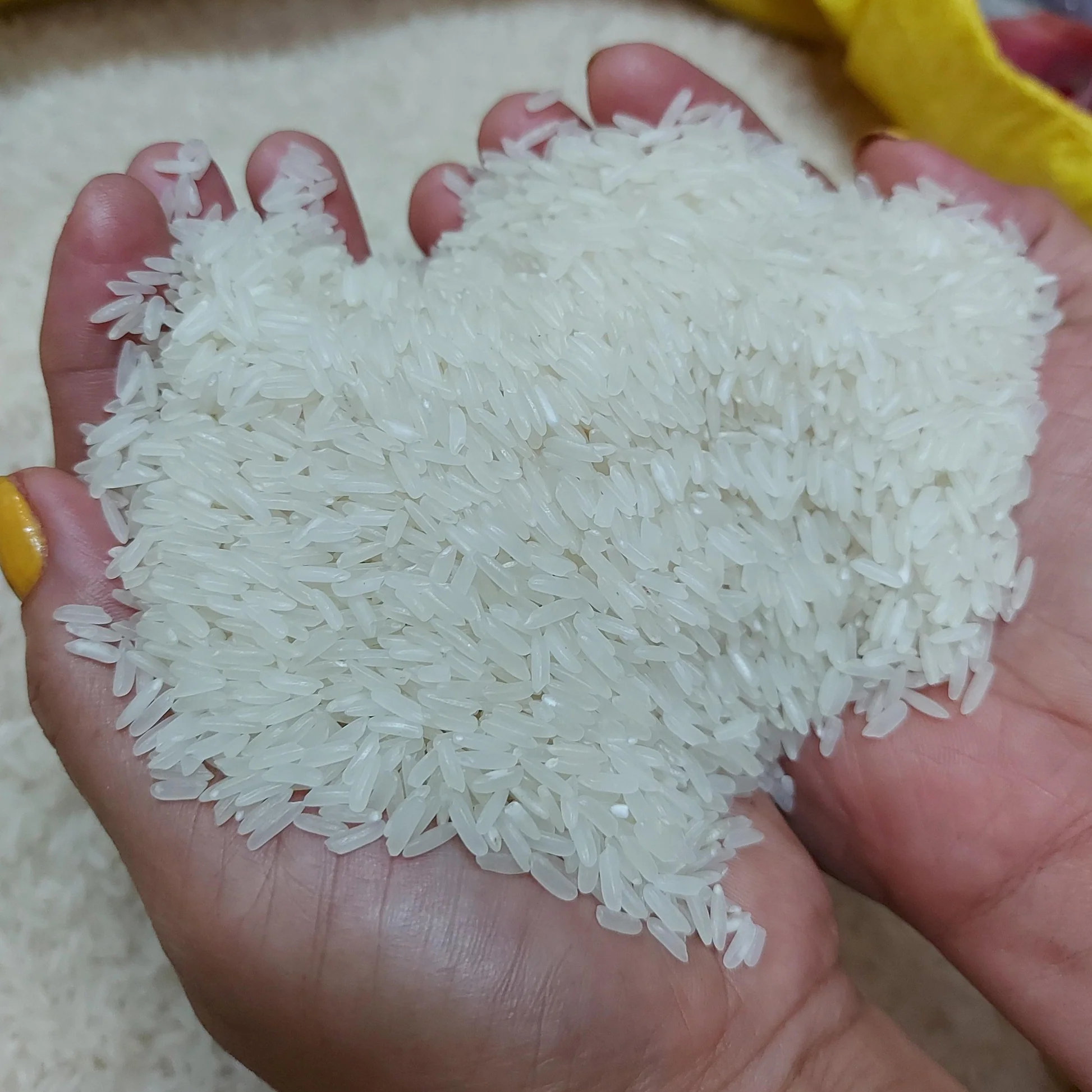 Organic Jasmine Rice for sale