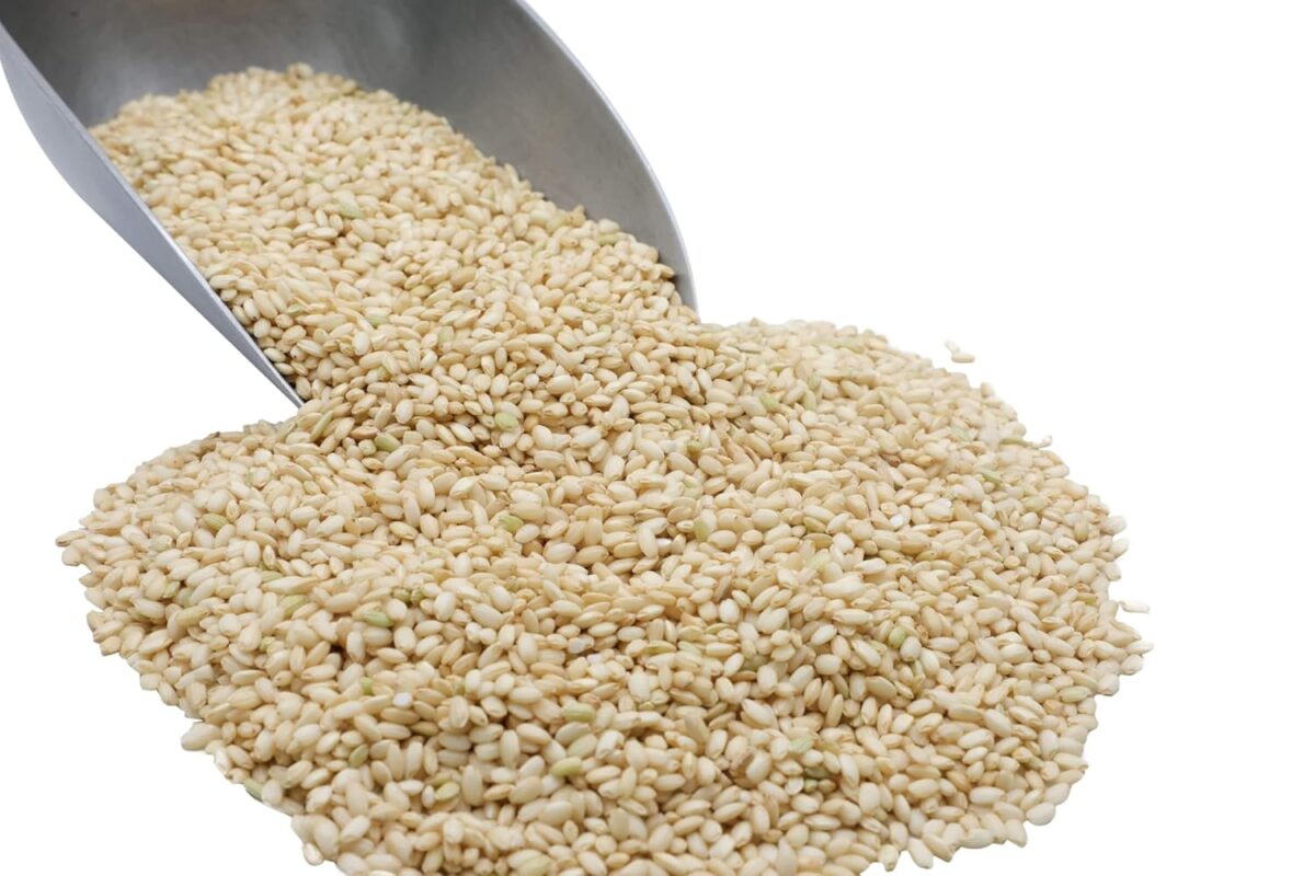 Buy Brown Glutinous Rice in Bulk