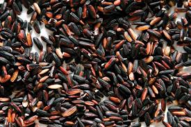 Buy Thai Black Glutinous Rice in Bulk