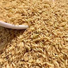 Buy long-grain brown rice in Bulk