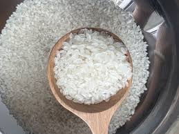 Short grain rice supplier