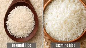 Jasmine Rice vs Basmati