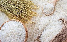 High-quality rice export
