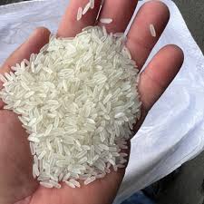 Hom Mali rice for international market