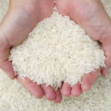 Thai Hom Mali Rice Central America