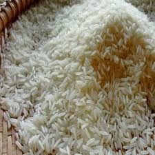 Thailand jasmine rice