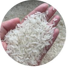 wholesale jasmine rice