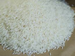 bulk Hom Mali jasmine rice exporters Thailand