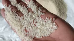 Bulk rice online import in Dominican Republic
