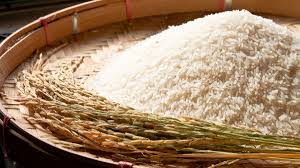 Buy Thai jasmine rice for North America markets