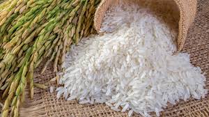 Buy best Thai jasmine rice for USA