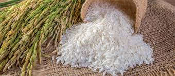 Buy best deals on Thai Hom Mali rice bulk orders