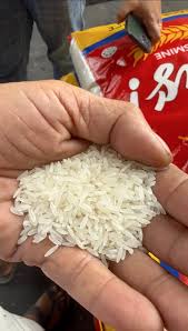Buy bulk jasmine rice USA wholesale