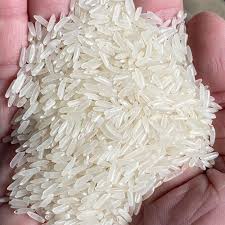jasmine rice for food distributors