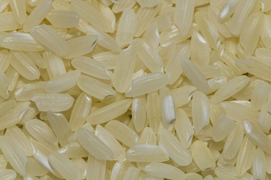 Thai Fragrant rice grains - aromatic Pathumthani rice