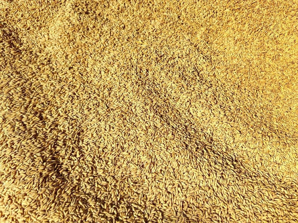 agricultural products supplier