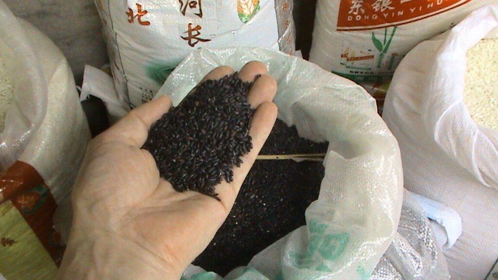 Black rice supplier - raw black forbidden rice grains