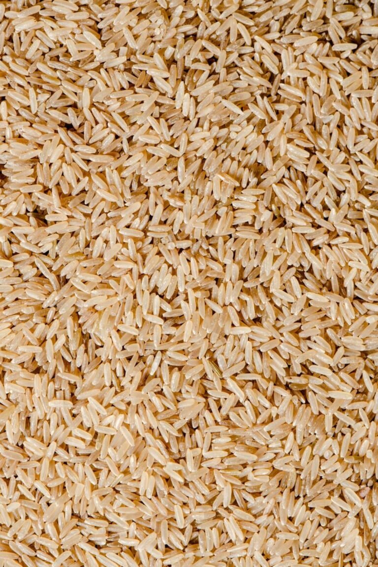 Brown rice supplier Thailand - whole grain brown rice for bulk export