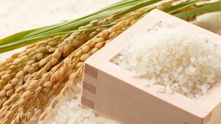 bulk rice import documentation