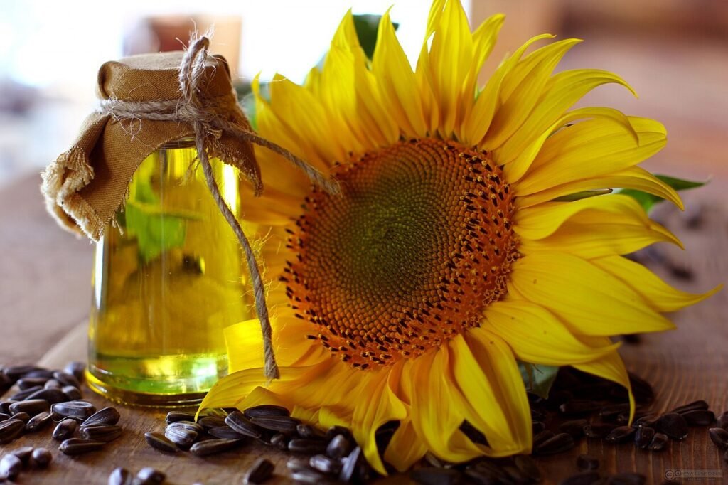 high oleic sunflower oil price per ton