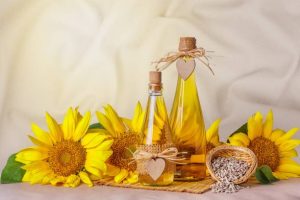 Rural still-life - sunflower oil in glass bottles with flowers of sunflower (Helianthus annuus) against the background of woolen fabric, closeup with space for text